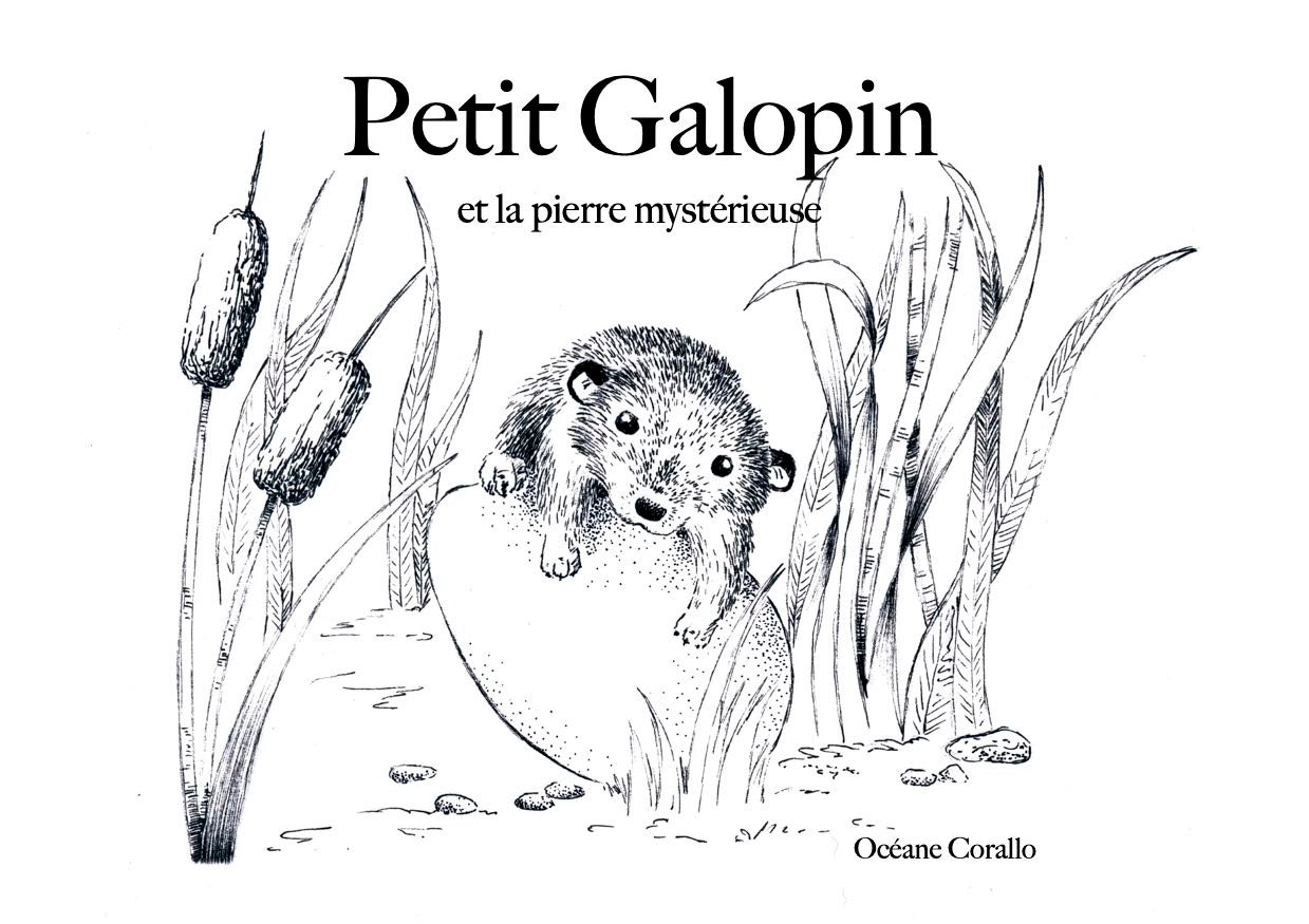 Couverture de Petit Galopin et la pierre mystérieuse