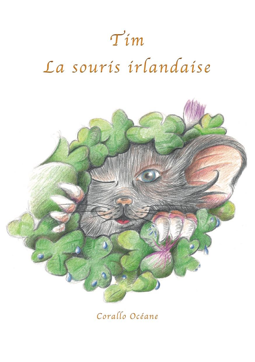 Couverture de Tim, la souris irlandaise