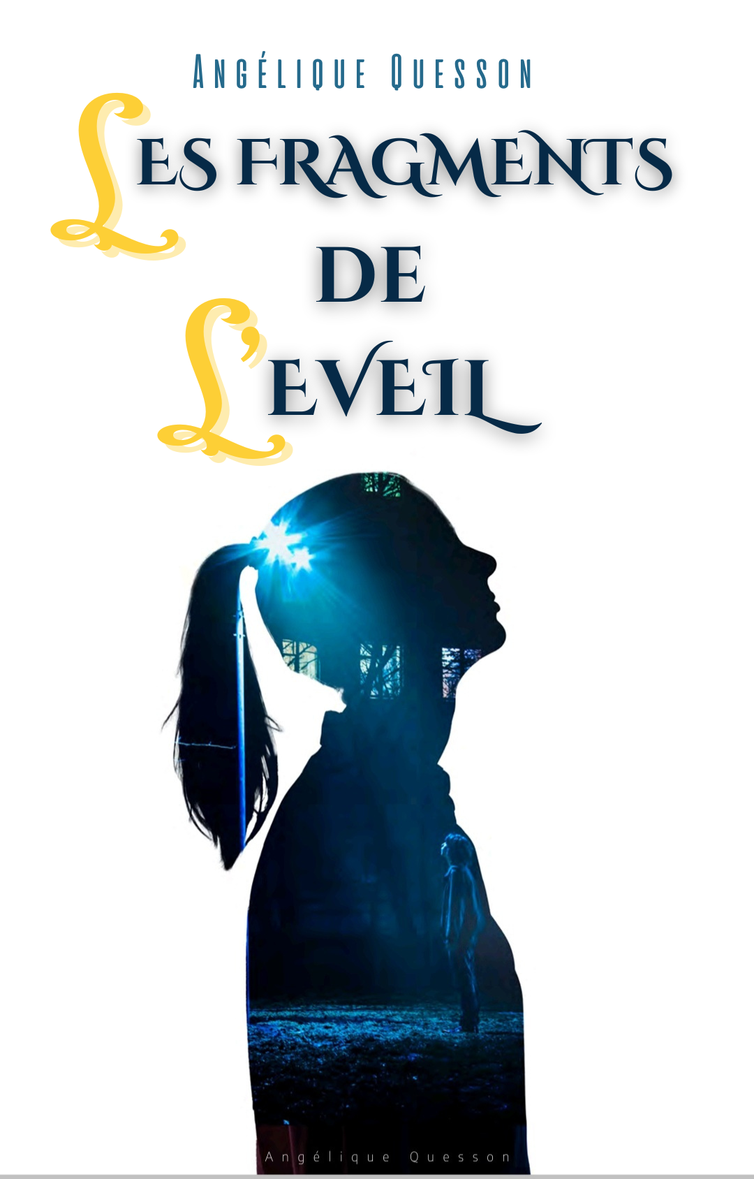 Couverture de Les fragments de l'éveil