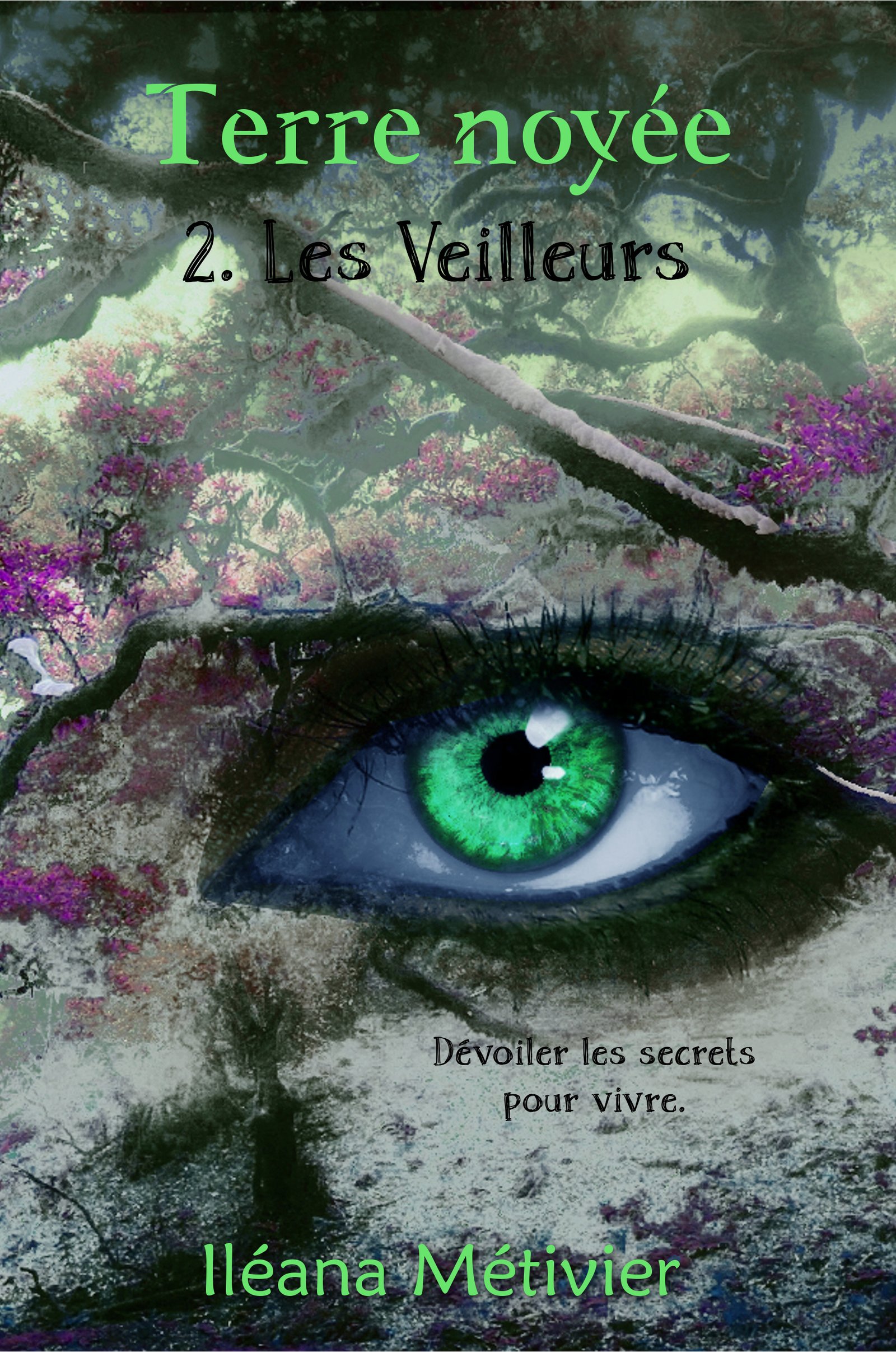 Couverture de Terre noyée. Tome 2 : Les Veilleurs