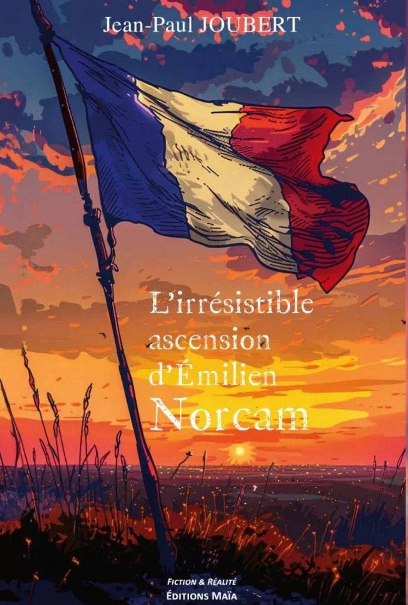 Couverture de L'irrésistible ascension d'Emilien Norcam