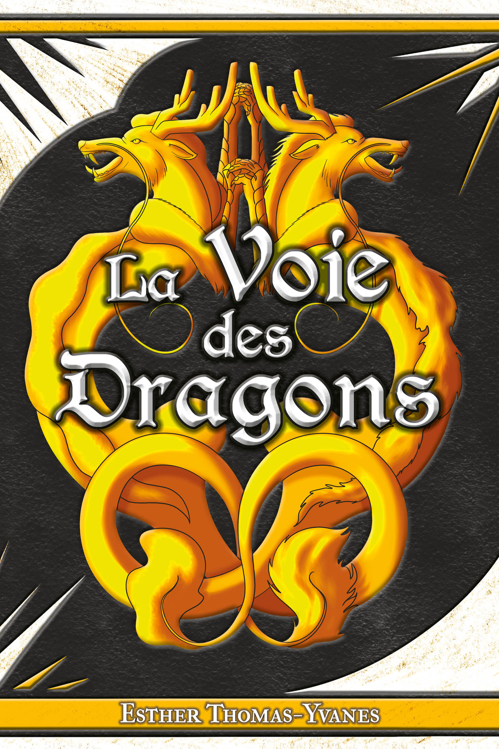 Couverture de La Voie des Dragons