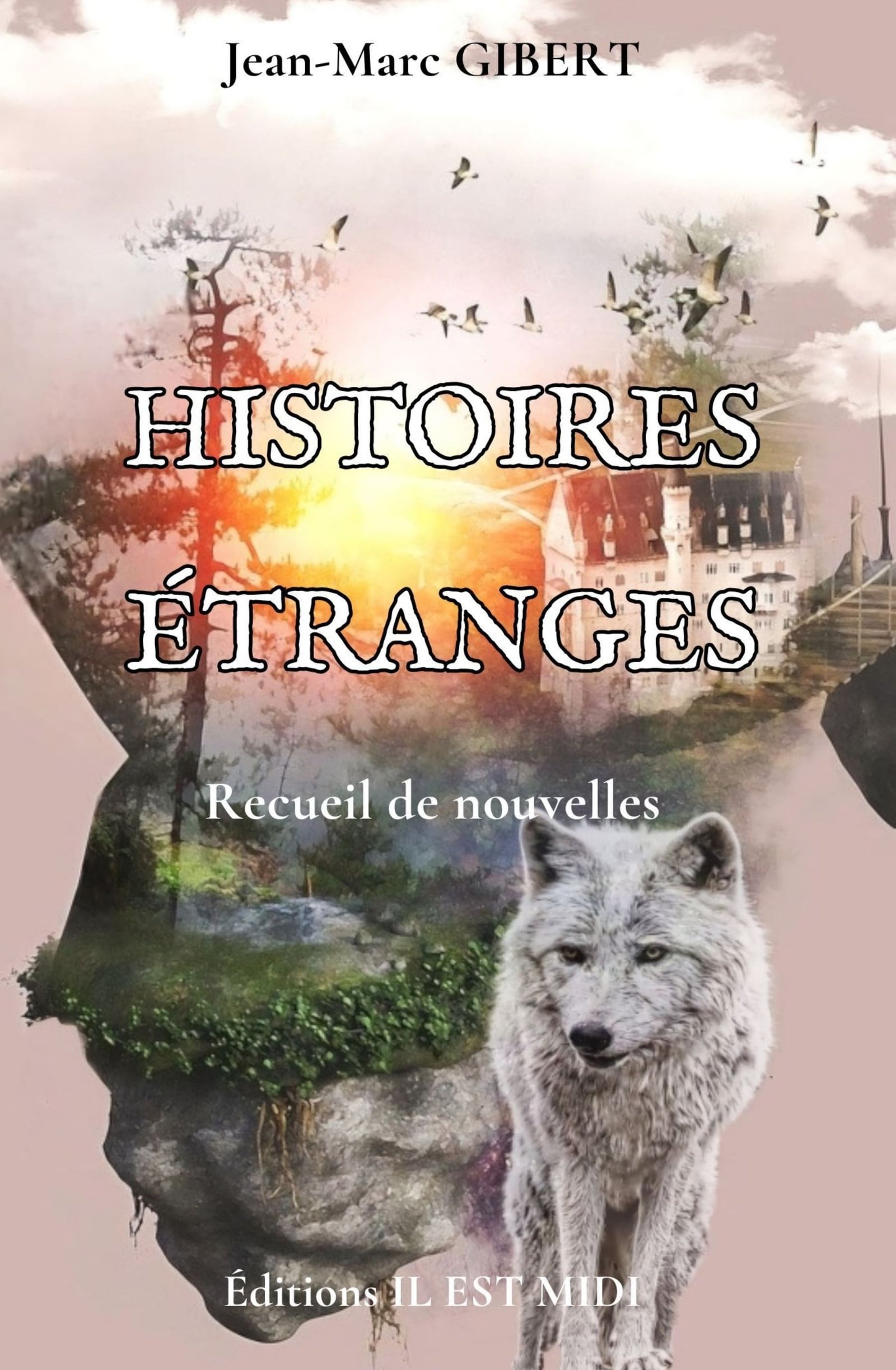 Couverture de 'Histoires étranges - Recueil de nouvelles'