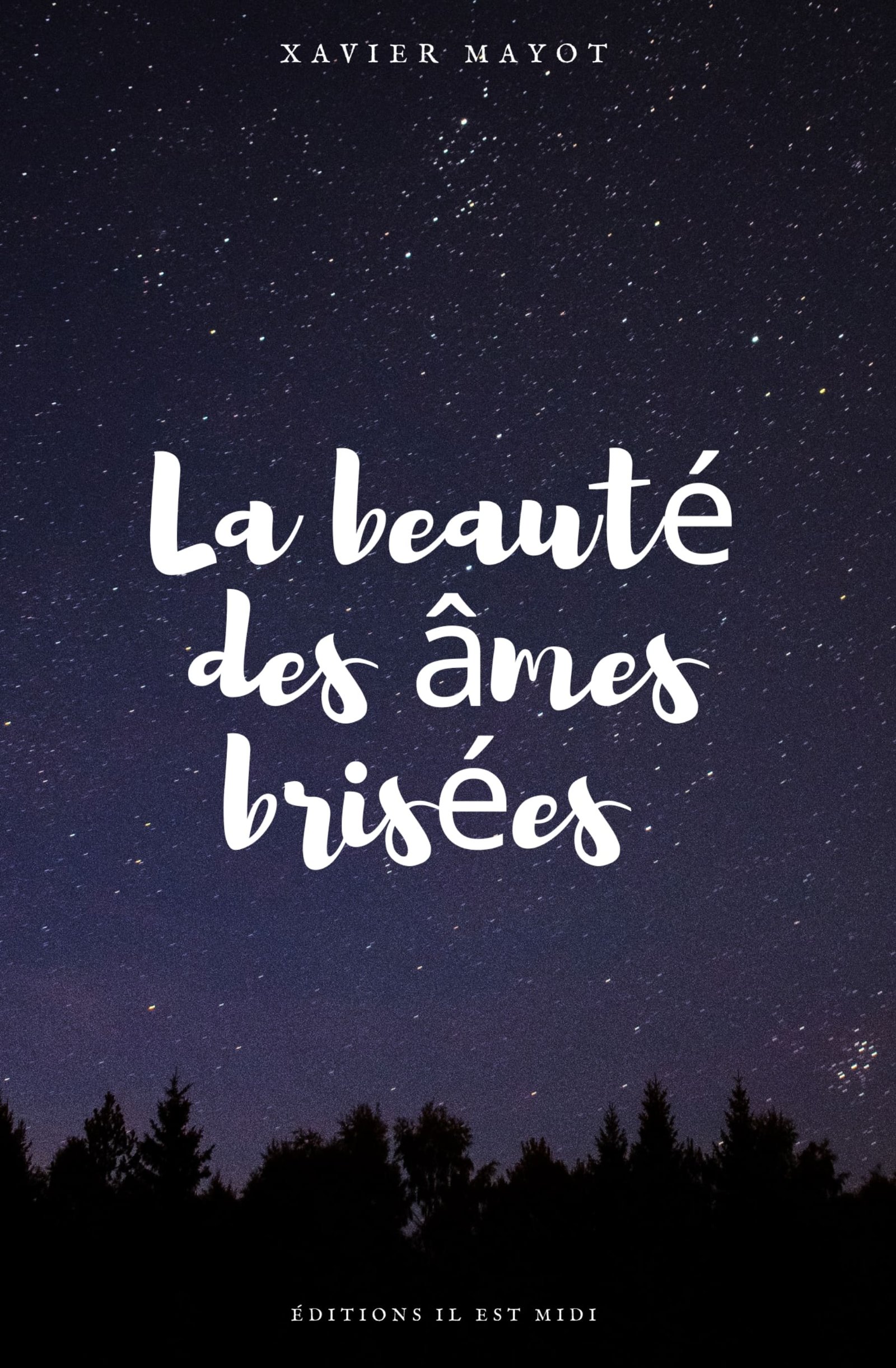 Couverture de La beauté des âmes brisées