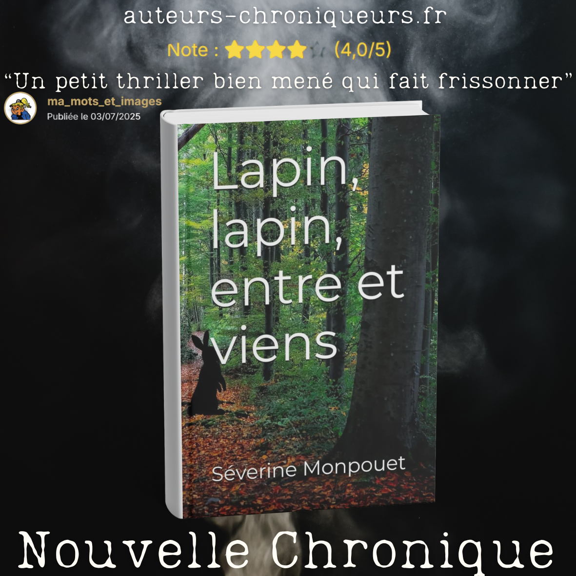Couverture de Lapin, Lapin, entre et viens - Séverine Monpouet