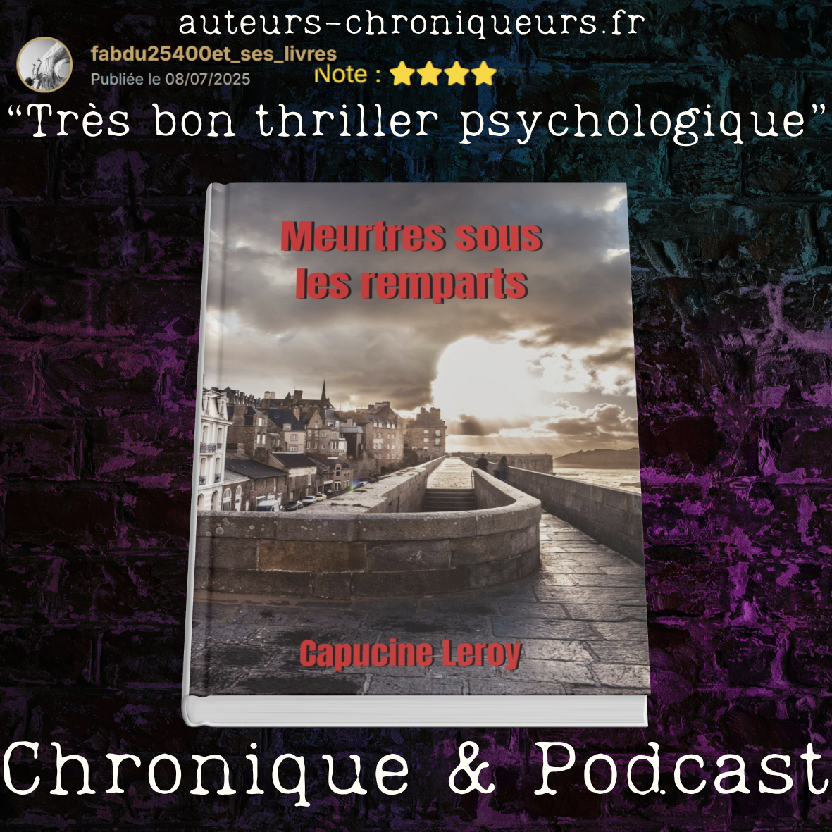 Couverture de Meurtres sous les remparts - Capucine Leroy