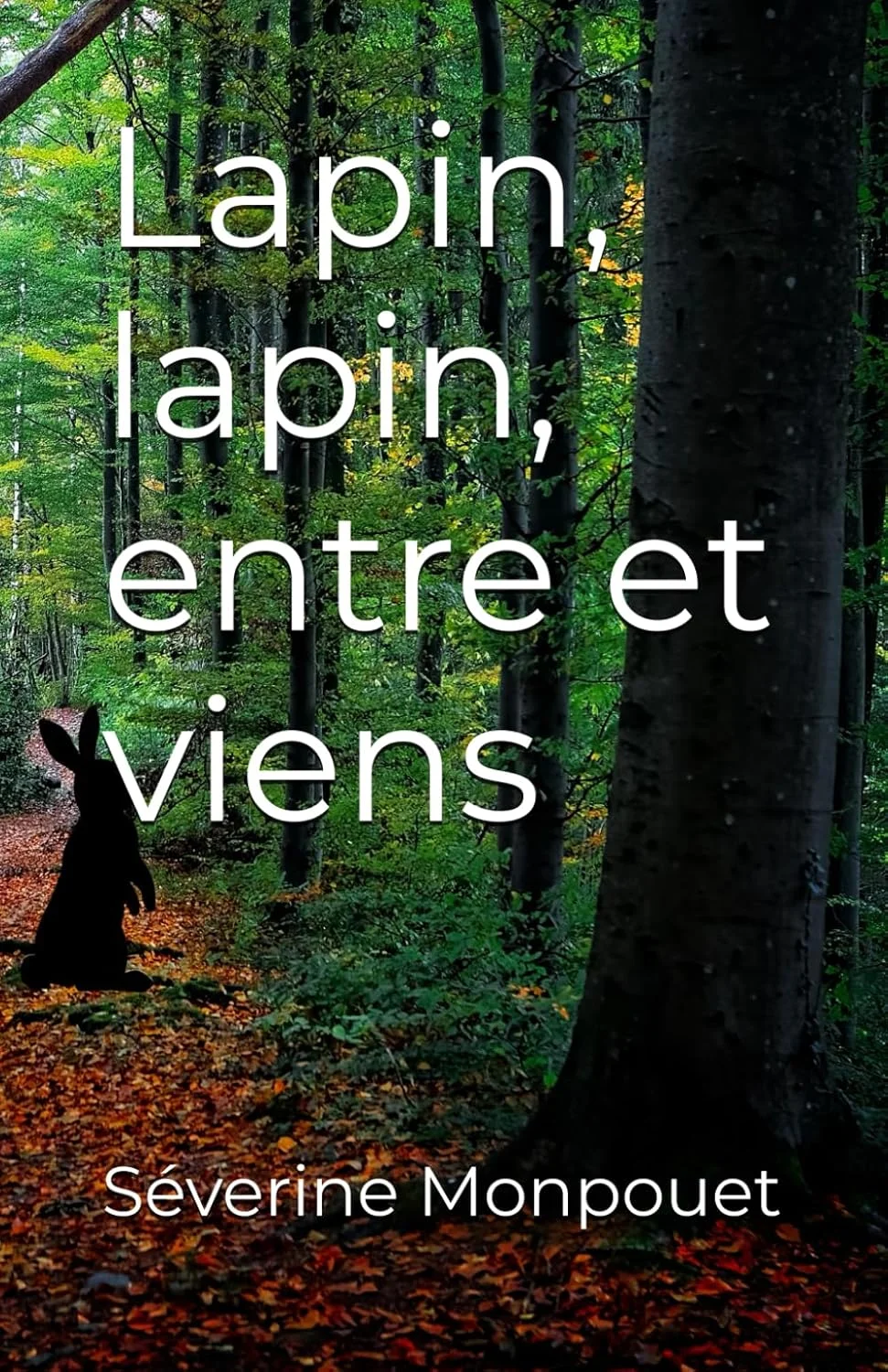 Couverture de Lapin, lapin entre et viens - Séverine Monpouet
