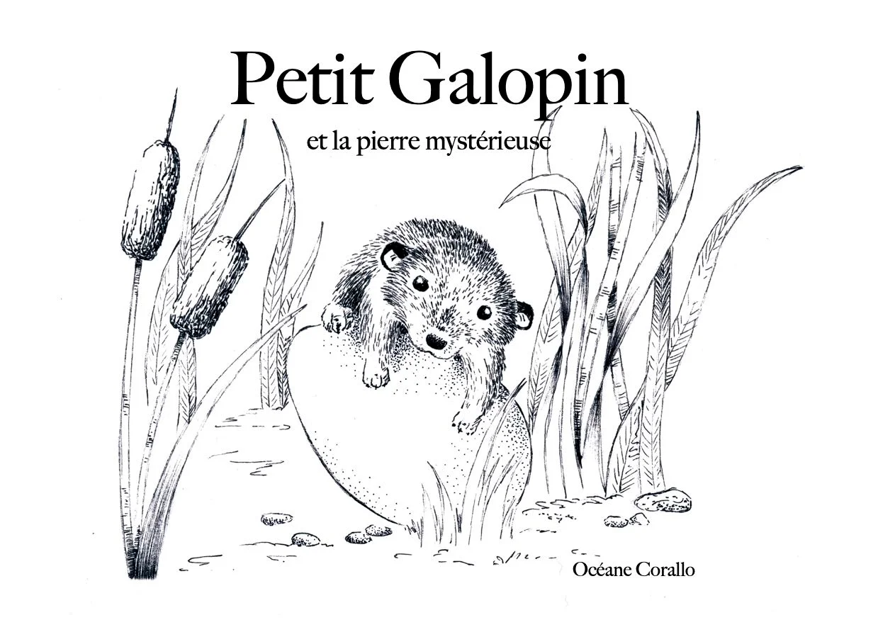 Couverture de Petit Galopin et la pierre mystérieuse - Océane Corallo