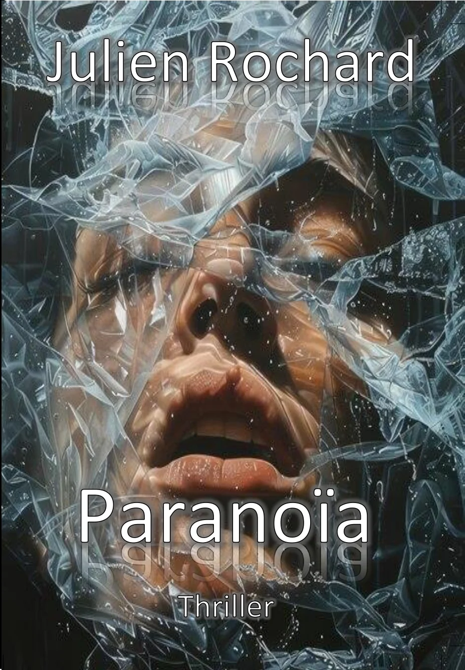 Couverture de Paranoïa - Julien Rochard