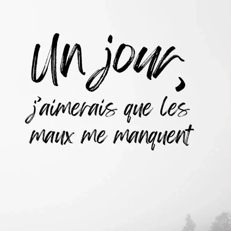 Couverture de Un jour, j'aimerais que les maux me manquent - Gérald Odar