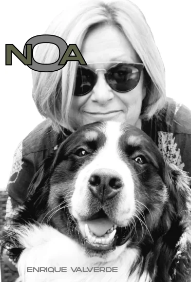 Couverture de Noa - Enrique Valverde